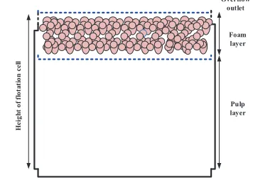Figure 1: Cross-section diagram of a ﬂotation cell