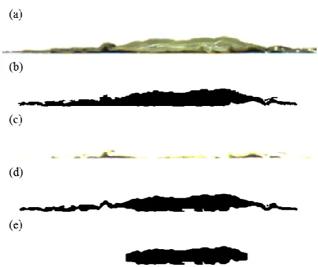 Figure 6 Imaged wakame and segmented results: (a) 