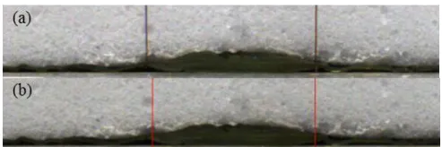 Figure 7 (a)Observed positions indicated by two wires, 