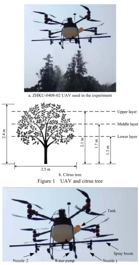 Figure 1  UAV and citrus tree 