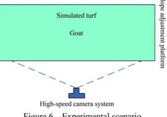 Figure 6  Experimental scenario 