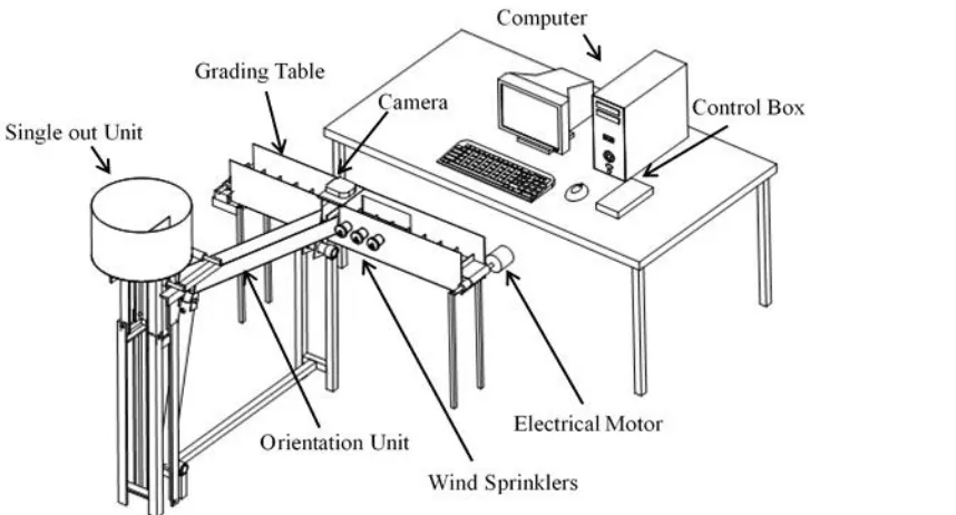 Figure 1 Schema of designed apple grading system  