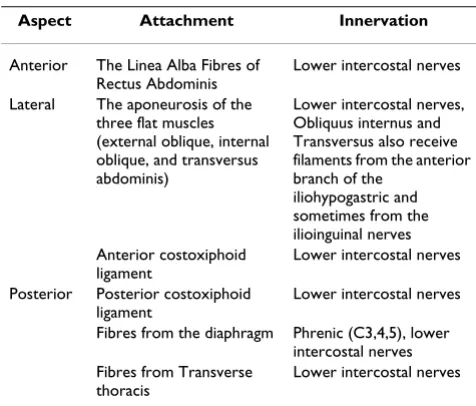 Table 1: Sternal attachments and innervation [8]. Table 1 lists the soft-tissues that attach to the xiphoid and their innervation.