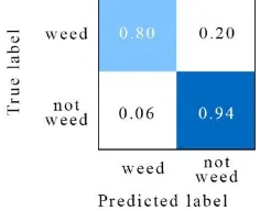 Figure 5.  The normalised confustion matrix of the quadratic SVM. This method correctly identifies weeds with 80% accuracy