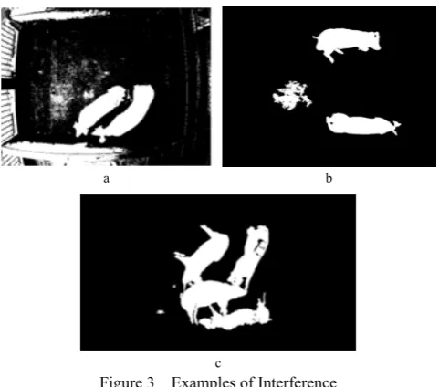 Figure 4  Examples of Adhesion and Occlusion 