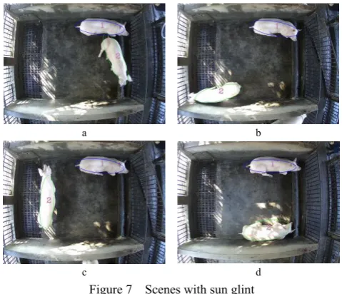 Figure 6  Examples of no lighting scenes 