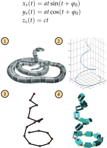 Figure 2. The similar macro shapes of a snake (label 1), a spiral curve (label 2), the line segments modelafter the shape-ﬁtting algorithm (label 3) and the simpliﬁed simulation model (label 4).