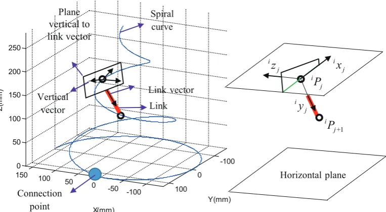 Figure 6. Establishment of local coordinates.