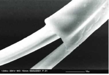 Figure 2.2: Scanning electron micrograph of a partial degummed silk ﬁlament.