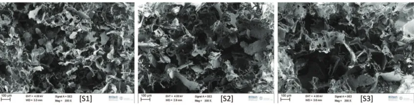 Figure 4.1: Scanning electron microscopy images of PdlLA scaﬀolds. Sieved NaClparticulates with three diﬀerent dimensional ranges were used: (S1) 240-315 µm,(S2) 315-425 µm, and (S3) 425-1180 µm