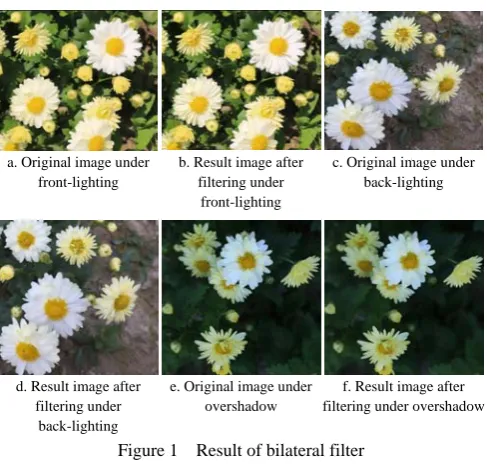 Figure 1  Result of bilateral filter  