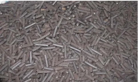 Figure 4  Compost Pellets made with co-compost (MSW+ FS) of 