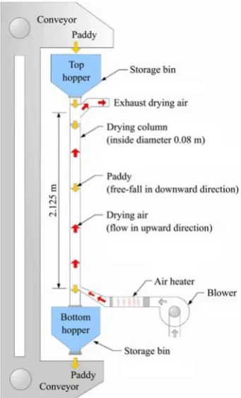 Figure 1  Schematic of the medium scale free-fall dryer 