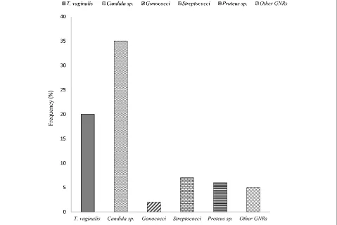 Fig. 1 Genital Infections among Study Participants, GNRs = Gram Negative Rods