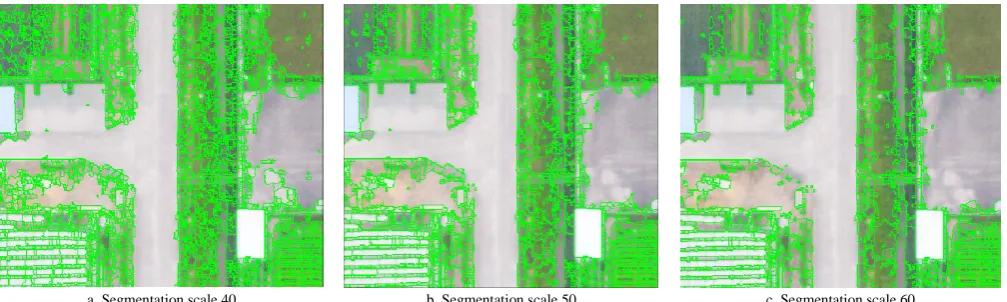 Figure 8  Different segmentation scale effects  