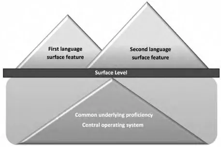 Figure 1. The Iceberg Model (Cummins, 2001)