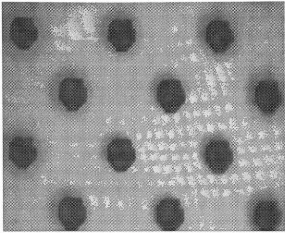 figure C-39; micrograph of the 25% black dot on the 3M Matchprint.