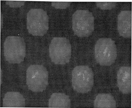 figure C-41; micrograph of the 75% black dot on the 3M Matchprint.