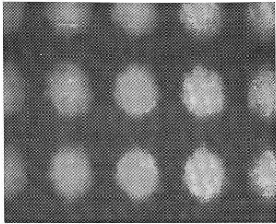 figure C-46; micrograph of the 75% cyan dot on Digital ProofingSystem A.