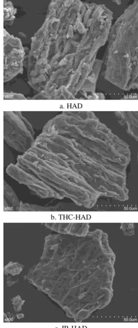 Figure 4  Chlorogenic acid content of chrysanthemum dried by different drying methods at 60°C 