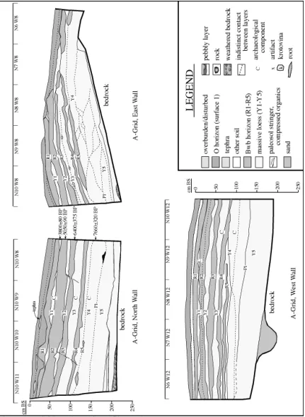 Figure 4. A-Grid stratigraphic profiles (1985)
