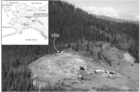Figure 1Gerstle River overview, view north-east