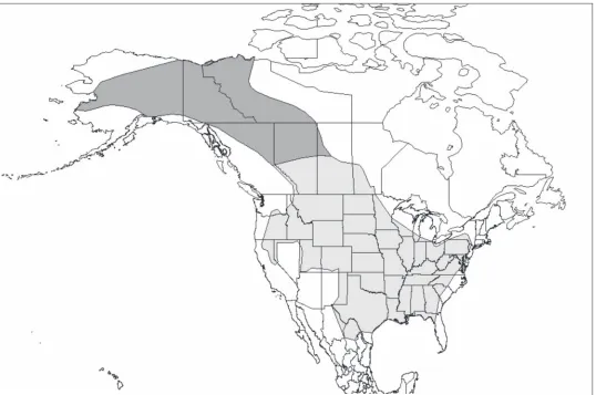 Figure 2.1 Original ranges of plains bison and wood bison. Recreated by Boyd (2003) based on van Zyll de Jong (1986) and Stephenson et al