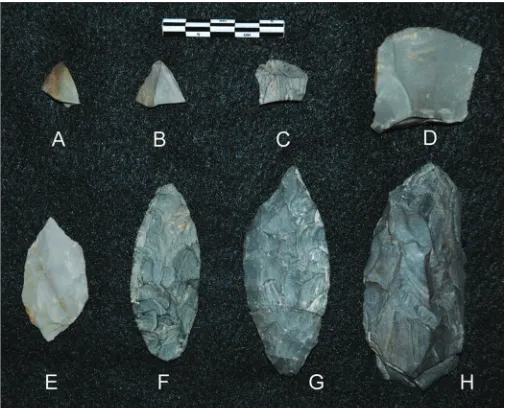 Fig. 4. Lithic tools fromE(Component 3: bifaces (A, to H), modified flakesB and C), unifacially re-touched flake (D)