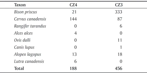 Table 5.5 Broken Mammoth CZ4 radiocarbon dates.