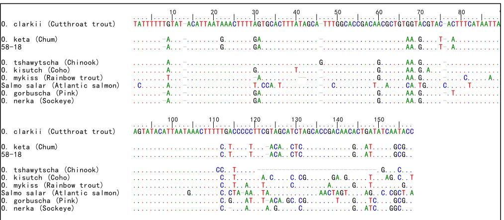 Fig. S4.Phylogenetic tree displaying the relationships between (NC008615;NC009263;A) the obtained cytochrome b haplotype from specimen 58-18 and GenBank referencesequences