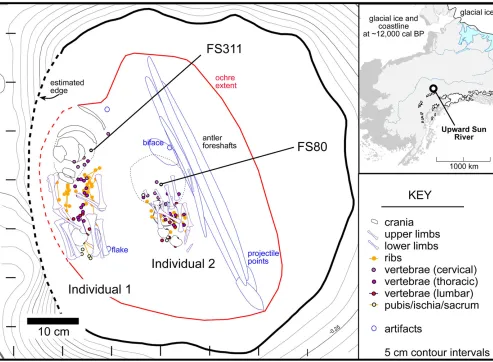 Fig. S6.aDNA samples, FS311 (Individual 1, Left) and FS80 (Individual 2, Right). (Scale bar, 2 cm.)