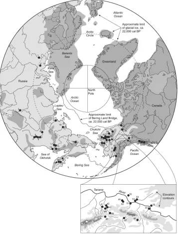Figure 9.1 Map showing locations of important archaeological sites (circles) and obsidian sources (triangles) mentioned in text: (1) Byzovaia; (2) Mamontovaia Kuria; (3) Nepa- 1; 4, Diuktai Cave; (5) Ust’- Mil’- 2; (6) Verkhne Troitskaia; (7) Ezhantsy; (8) Ikhine- 2; (9) Yana RHS; (10) Berelekh; (11) Achchagyi- Allaikha (paleontological site); (12) Siberdik; (13) Kongo; (14) Uptar; (15) Khaia; (16) Anavgai- 2; (17) Ushki; (18) Tytyl’vaam; (19) Serpentine Hot Springs; (20) Trail Creek Caves; (21) Onion Portage; (22) Nogahabara; (23) Raven Bluff; (24) Tuluaq Hill; (25) NR- 5; (26) Caribou Crossing; (27) Nat Pass; (28) Sluiceway; (29) Mesa; (30) Putu/ Bedwell/ Hilltop; (31) Spein Mountain; (32) Ilnuk; (33) Lime Hills Cave; (34) Little John; (35) Bluefish Caves; (36) Engigstciak; (37) Graveyard Point; (38) Groundhog Bay; (39) Hidden Falls; (40) On- Your- Knees Cave; (41) Owl Ridge; (42) Moose Creek; (43) Walker Road; (44) Dry Creek; (45) Carlo Creek; (46) Bull River- 2; (47) HEA- 454; (48) Tangle Lakes sites (Phipps, Whitmore Ridge, Sparks); (49) FAI- 2077; 50), FAI- 2019/ FAI- 2043; (51) Upward Sun River; (52), Chugwater; (53) Broken Mammoth/ Mead; (54) Swan Point; (55) Gerstle River Quarry; (56) Healy Lake Village/ Linda’s Point; (A) KAM- 05/ KAM- 07; (B) KAM- 03; (C) Batza Téna; (D) Wiki Peak.Drawing by Ted Goebel