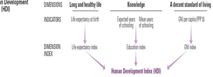 Figure 2**: Human development index Source: United Nations Development Programme (UNDP)