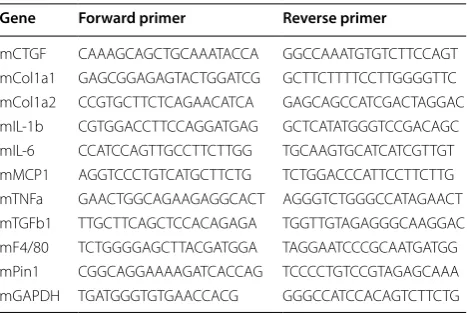 Table 1 The list of primer sequences