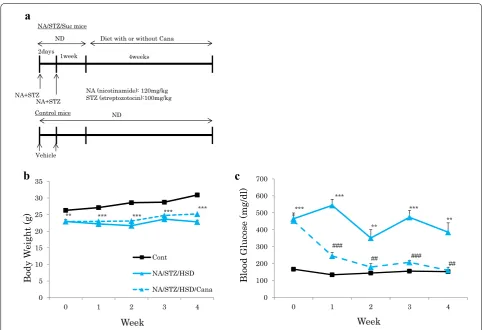 Fig. 1 Administration of canagliflozin normalized hyperglycemia in NA/STZ/Suc mice. a Scheme of this study
