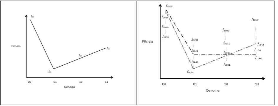 Figure 7. Comparing the fitnesses of haploid genomes under the haploid-diploid case (right) to the traditional haploid case 