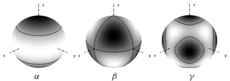 Fig. 6. Radial velocity distribution (dark is the down-welling mo-tion) of the (left to right) α, β and γ respectively, stable bifurcatedbranches for η=0.3, 0.4 and 0.5 respectively.
