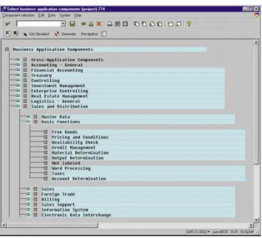 Fig. 4-4: Configuring the IMG by selecting the application components