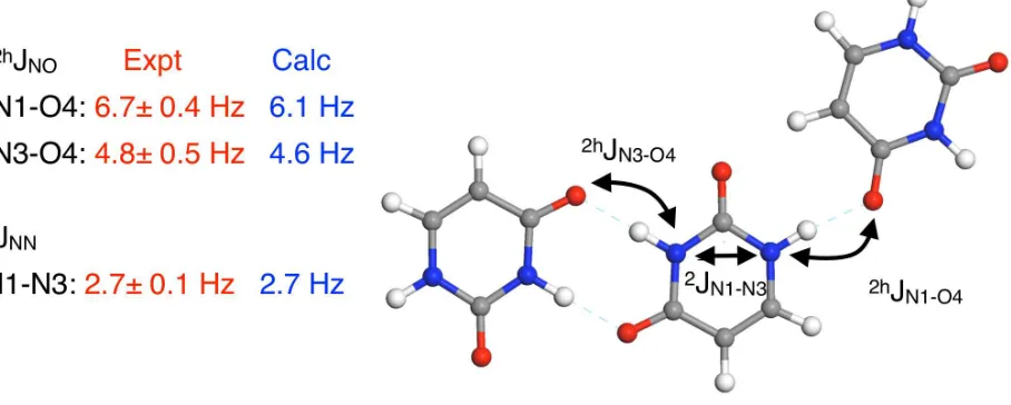 Figure 9: Calculated and Experimental J couplings in the crystalline form of Uracil