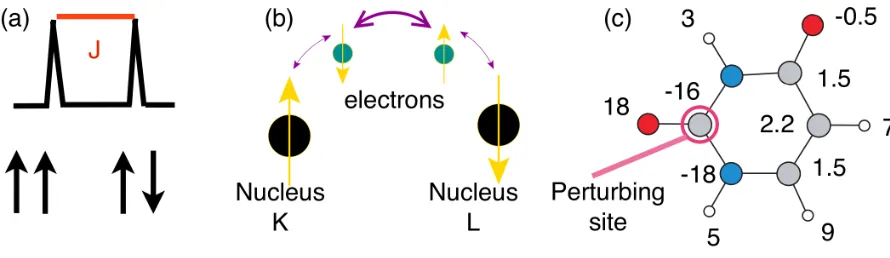 Figure 3: (a) Schematic representation of the eﬀect of J coupling of two spin 1/2 nuclei on anNMR resonance
