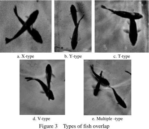 Figure 2  Image processing  