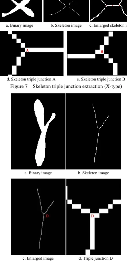 Figure 7  Skeleton triple junction extraction (X-type) 