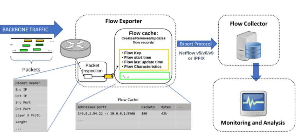Fig. 2.1 Overview of a typical Flow Monitoring Architecture