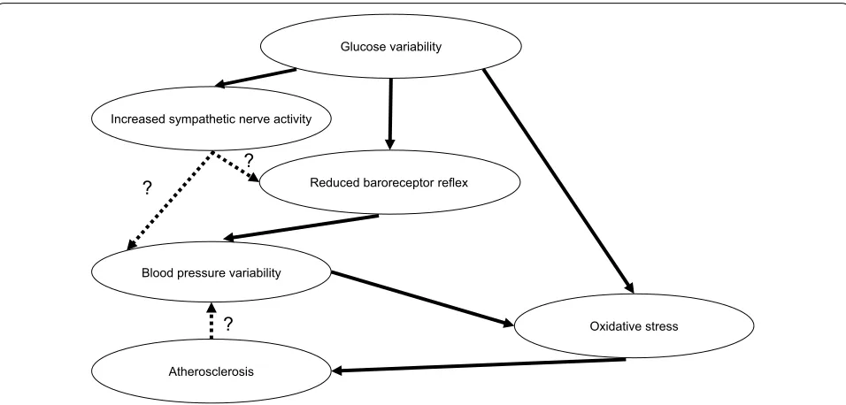 Fig. 3 Hypothesis regarding the association between glucose and blood pressure variabilities