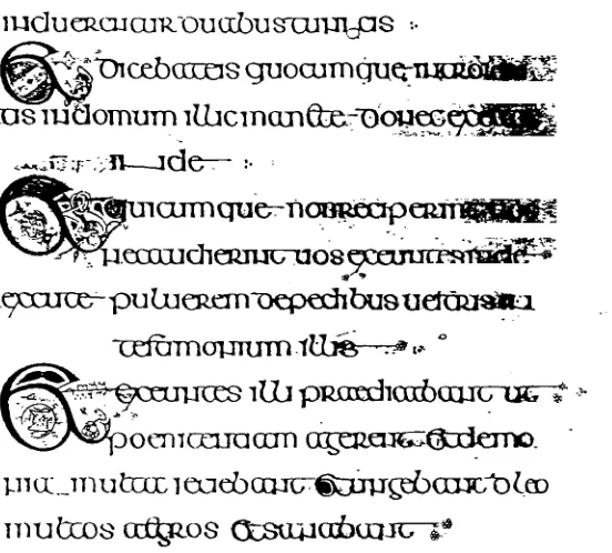Figure 6. Insular script