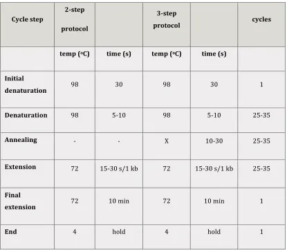 Table 
  3.3: 
  PCR 
  program 
  for 
  the 
  amplification 
  of 
  plasmidic 
  DNA 
  by 
  Phusion 
  High 
  Fidelity 
  