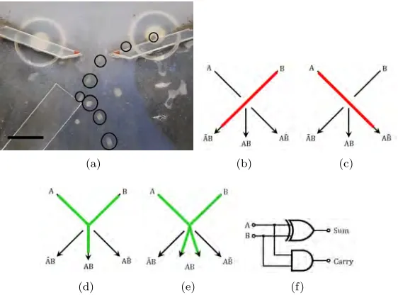 Figure 8: (a) Overlaid frames showing the successful reﬂection of a LM, frames are timed at0 ms, 234 ms, 334 ms, 375 ms, 400 ms, 434 ms, 476 ms and 517 ms