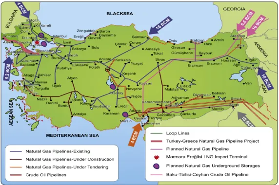 Fig. 2. Turkish planning on gas and oil pipelines’ networking (source: Vidakis; Baltos, 2015) 