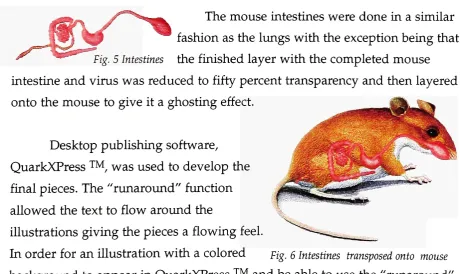 Fig. 5 Intestines