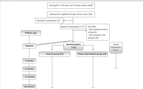 Figure 1 Flowchart. Participants responded to a baseline questionnaire at the start of the study